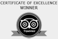 Certificate of Excellence WINNER